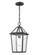 Eston 1-Light Outdoor Hanging Lantern Textured Black (670|91401-TBK)