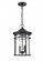 Outdoor Hanging Lantern (670|91342-TBK)