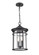 Namath 2-Light Outdoor Hanging Lantern Textured Black (670|91342-TBK)