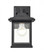 Outdoor Wall Sconce (670|91051-TBK)