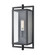 Rankin 1-Light Outdoor Wall Sconce Textured Black (670|250001-TBK)