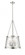 Pendant Light (670|20405-PN)