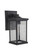 Resilience 1 Light Medium Outdoor Wall Lantern in Textured Black, Clear Lens (20|ZA2414-TB-C)