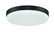 Mondo LED Light Kit in Flat Black (20|MNDLK-FB-LED)
