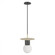 Newport Collection 1 Light Pendant (4450|HF1951-BB-BK)