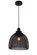 Warren Collection Pendant D11in H12.5in Lt:1 Black Finish (758|LDPD2030)