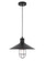 Flaneur 1 light Black Pendant (758|LD7506BK)