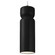 Small Globe 1-Light Pendant (254|CER-6530-BSH-MBLK-BKCD)