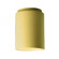 Cylinder Flush-Mount (Outdoor) (254|CER-6100W-MYLW)