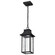 Austen Collection; 1 Light Outdoor Hanging Fixture; LED; SMART - Starfish RGBTW; CCT Selectable; (81|62/5996)
