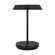 Tepa Short Accent Rechargeable Table Lamp (7355|SLTB53227B)