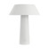 Sesa Accent Rechargeable Table Lamp (7355|SLTB56927W)
