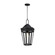 Oxford-Outdoor Pendant (19|30596CLBK)