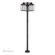 Multi Head Bronze Outdoor Post Light with Antique Brass Accents and Clear Glass (108|20597-07)