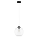 Hunter Xidane Matte Black with Clear Glass 1 Light Pendant Ceiling Light Fixture (4797|19513)