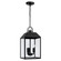 3 Light Outdoor Hanging Lantern (42|953434BK)