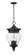 4 Light Outdoor Chain Mount Ceiling Fixture (276|5016CHB-BK)