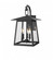 3 Light Outdoor Wall Light (276|5015M-BK)