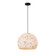 Globe 13'' Pendant (254|ALR-6535-MBLK)