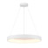 Conc - LED 24'' Pendant (77|P5555-44B-L)