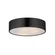 Tommy-Flush Mount (19|10496WTBK)