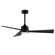 Vortex-Indoor Ceiling Fan (19|88847WTBK)