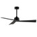 Vortex-Indoor Ceiling Fan (19|88846BK)