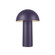 Setas 6-in Navy Blue Damp-Rated Dimmable LED Table Lamp (461|TL65210-NV)