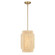 Caviana 1 Light Pendant (10|1225-894)