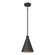 Axston 1-Light Outdoor Hanging Lantern Textured Black (670|86103-TBK)