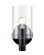 Apolla 1-Light Wall Sconce Matte Black (670|55101-MB)