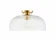1-Light Ceiling Light in Natural Brass (8483|M60080NB)