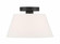1-Light Ceiling Light in Matte Black (8483|M60077MBK)