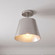 1-Light Ceiling Light in Brushed Nickel (8483|M60076BN)