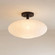 1-Light Ceiling Light in Matte Black (8483|M60075MBK)