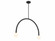 2-Light Chandelier in Matte Black (8483|M100132MBK)