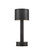 Traverse Bronze Cordless Table Lamp (92|6700-0011)