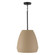 1 Light Pendant (42|354211SN)
