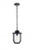 Outdoor Hanging L7'' W7'' H12.5'' L1 Black (758|OD323H13BK)