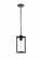 Outdoor Hanging L6'' W6'' H13'' L1 Black (758|OD310H13BK)