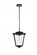 Outdoor Hanging L10'' H14.5'' E10'' L1 Black (758|OD305H15BK)