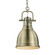 Yep by Golden Lighting Duncan 1-light 9in Chain Hung Pendant in Aged Brass (36|3602-S AB-AB)