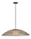 Large Hanging Pendant (87|10395BK)