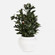 Uttermost Elena Olive Centerpiece (85|60236)