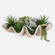 Uttermost Seaside Breeze Succulents (85|60233)