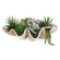 Uttermost Seaside Breeze Succulents (85|60233)