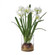 Uttermost Lacey Daffodil Accent Arrangement (85|60228)