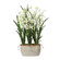Uttermost Ariana Orchid Planter (85|60227)