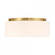 Edgemont 4-Light Ceiling Light in Warm Brass (128|6-4187-4-322)