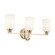 Gioe 24.25'' 3-Light Vanity Light with Opal Glass in Champagne Bronze (10687|55226CPZ)